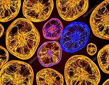 微生物實驗室建設(shè) 微生物實驗室建設(shè)