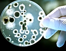 細(xì)胞實(shí)驗(yàn)室建設(shè) 細(xì)胞實(shí)驗(yàn)室建設(shè)